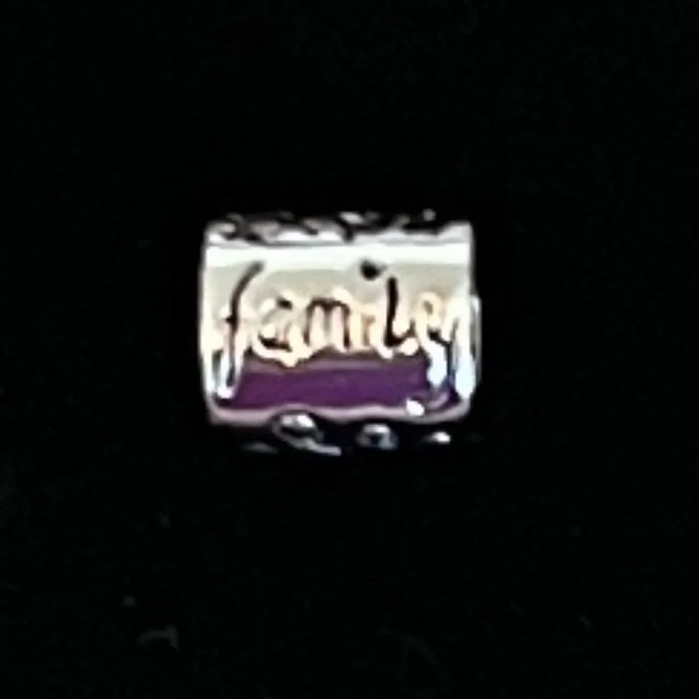 Pugster Charm   Silver  ‎ Family